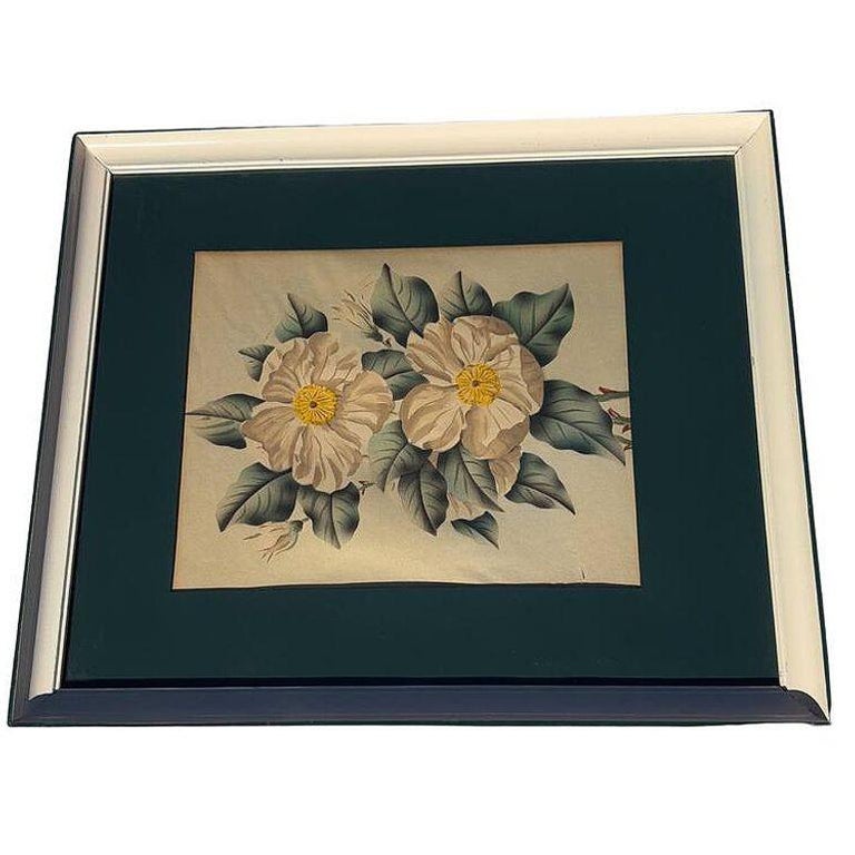 Mid Century White Camellia Botanical Floral Lithograph Print in Original Frame