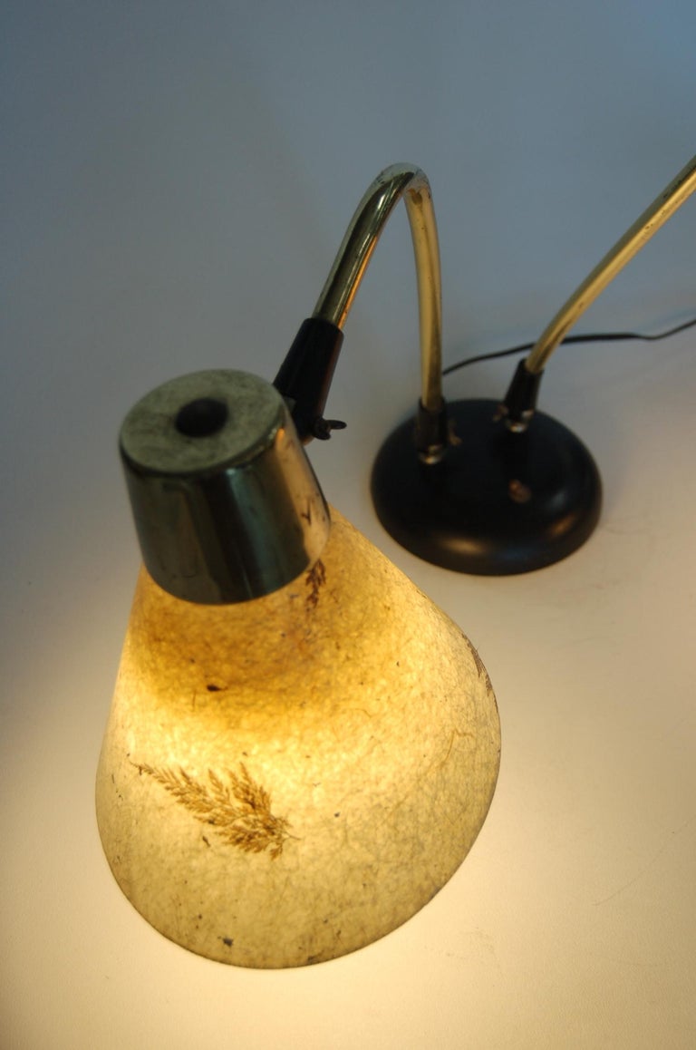 Double Gooseneck Brass Desk Table Lamp with Pressed Floral Fiberglass