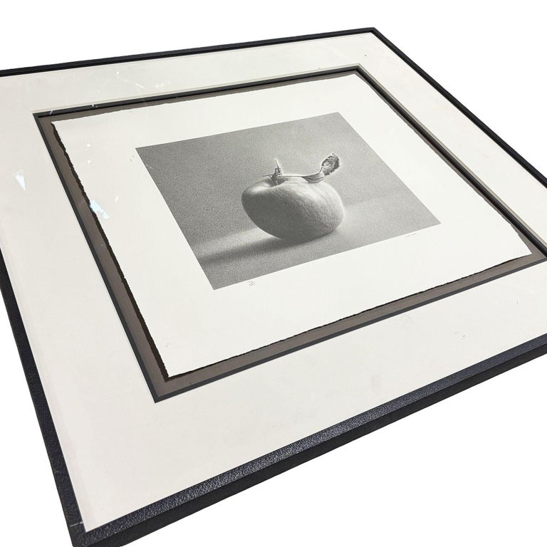 Framed Martha Alf "Apple" Still Life Lithograph Print Limited Signed (192/250)