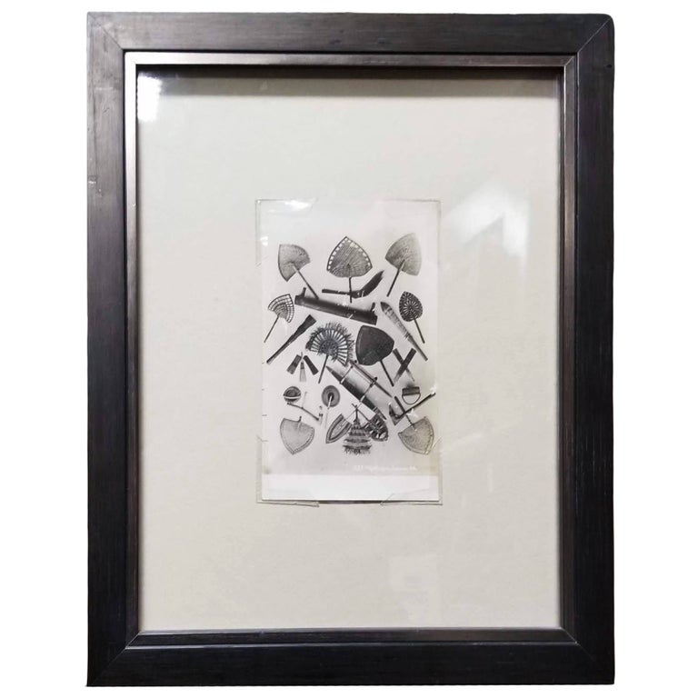Samoan Fans Original Photography Print by Alfred James Tattersall