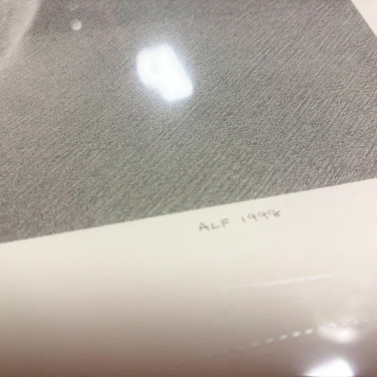 Martha Alf "Apple" Still Life Lithograph Print Limited Edition Signed (207/250)