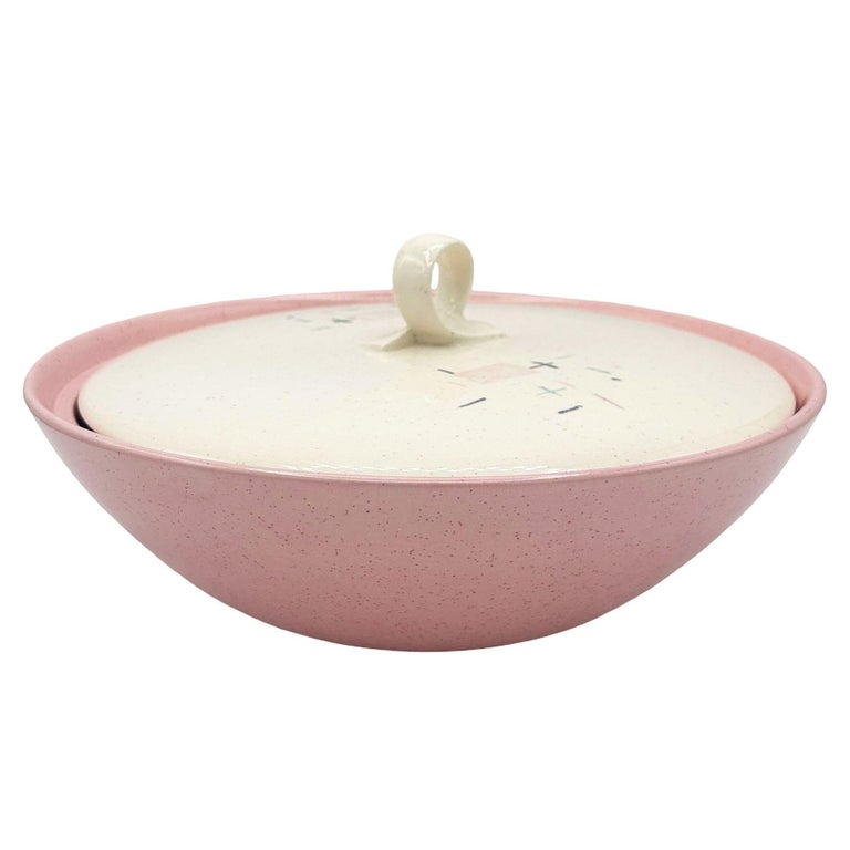110 Piece "Tickled Pink" Serverware Dinner Plate Platter Bowl Set By Vernonware