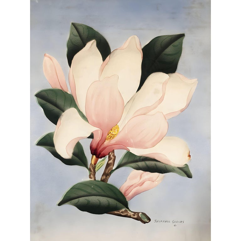 White/Pink Magnolia Watercolor Painting on Paper Signed Shirrell Graves, Framed