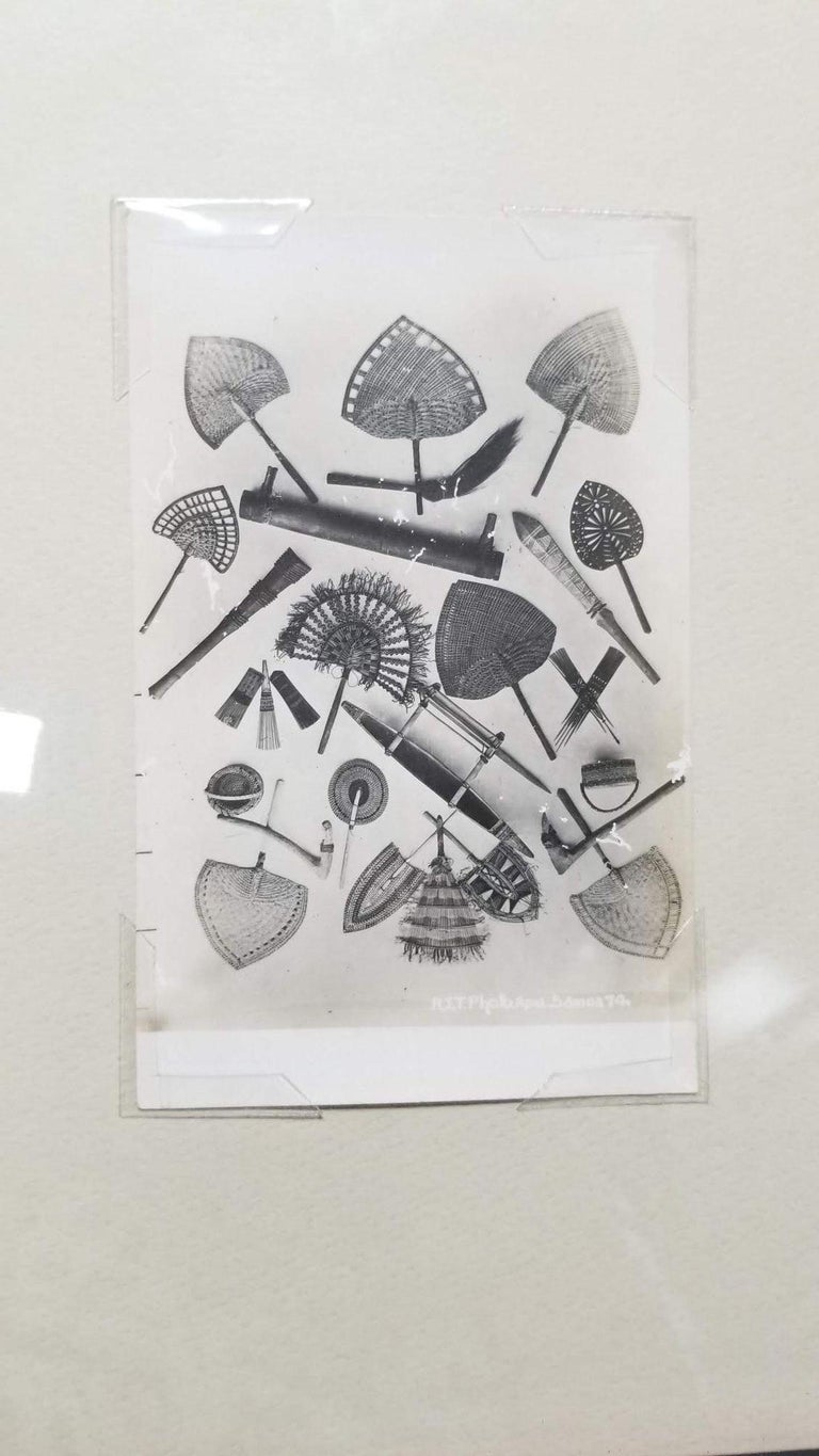 Samoan Fans Original Photography Print by Alfred James Tattersall