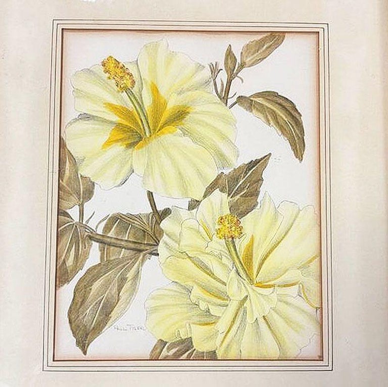 Mid-Century Hawaiian Framed Hibiscus Water Color Floral on Paper by Paul Tyler