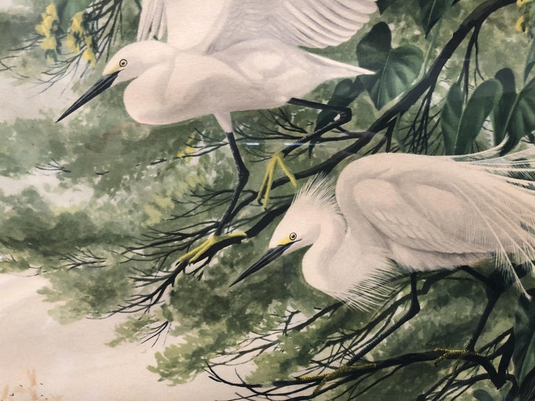 Post-War Tropical Cranes Print in Original Frame