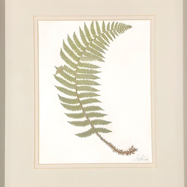 Victorian 1885 English Chromolithograph Fern Pair, Framed