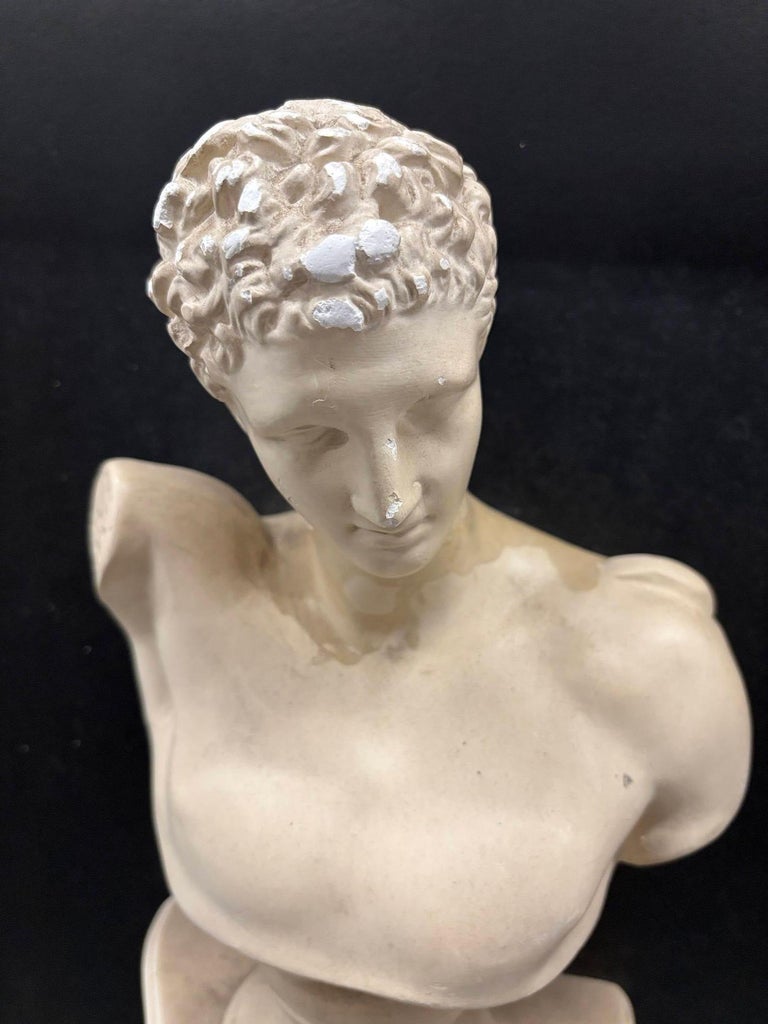 Framed Bust Sculpture 3D Framed Classical Style Art Male and Female Figure- Pair