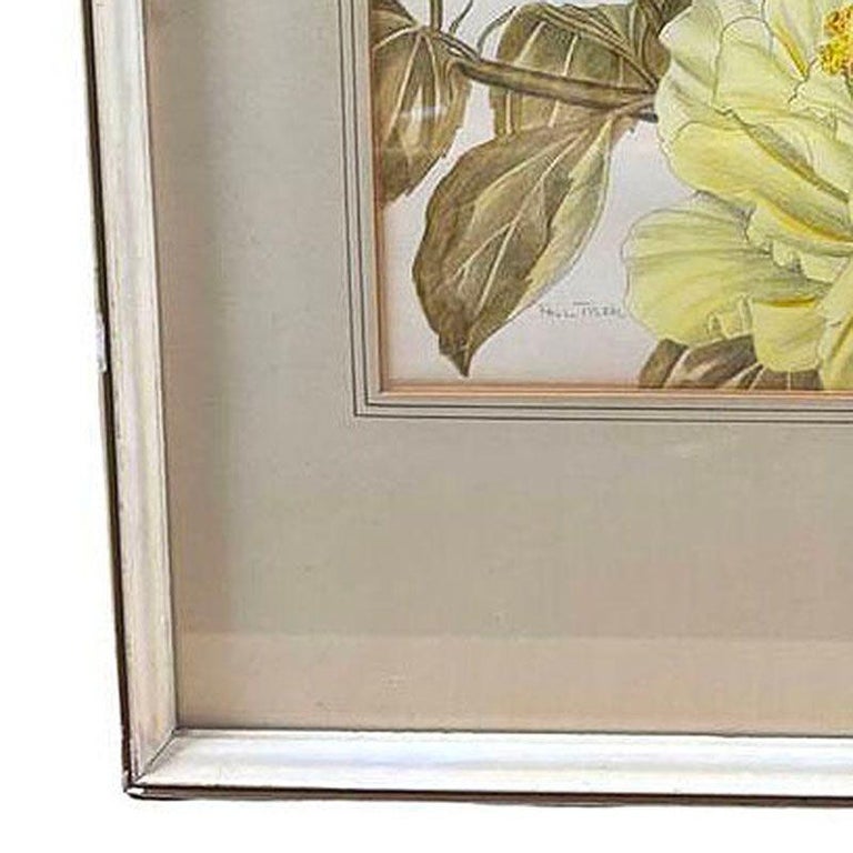 Mid-Century Hawaiian Framed Hibiscus Water Color Floral on Paper by Paul Tyler