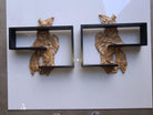 Midcentury Wall Shelf with Hand Carved Leaf Pattern, Pair