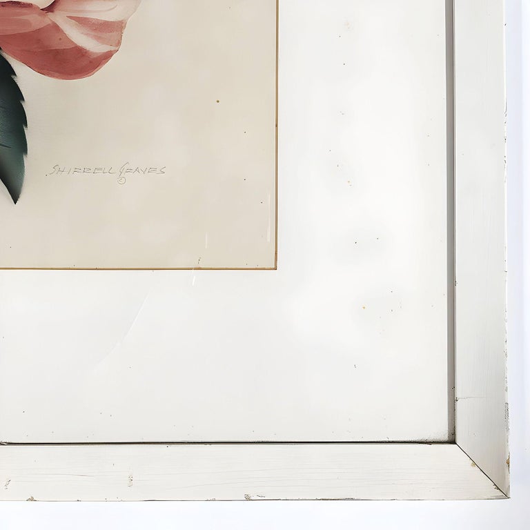 Pink Hibiscus Watercolor Painting on Paper Signed by Shirrell Graves, Framed
