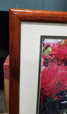 Framed Original Photography Print Yellow Bird in Hawaiian Blossoms