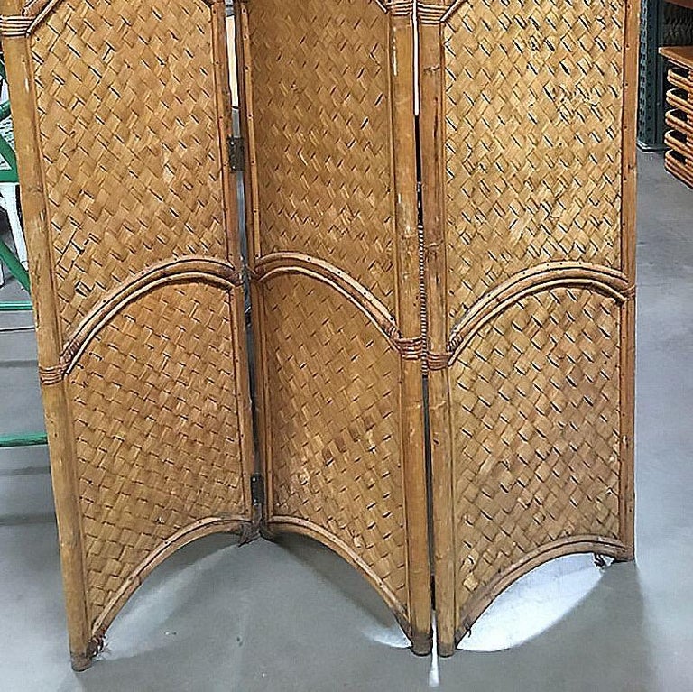 3 Panel Arched Wicker Woven & Rattan Folding Screen