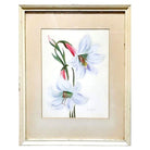 Mid-century Hawaiian Two Lilies Oil Painting on Paper signed E. Wolf, Framed