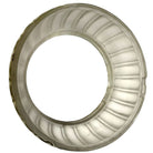 Art Deco Frosted Glass Ceiling Pendant Center Ring Shade