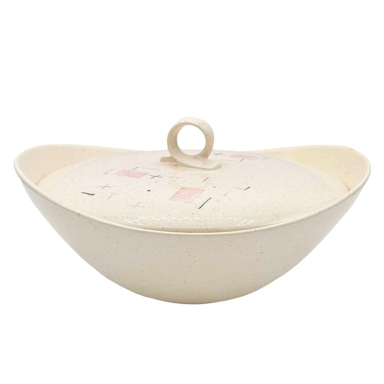 110 Piece "Tickled Pink" Serverware Dinner Plate Platter Bowl Set By Vernonware