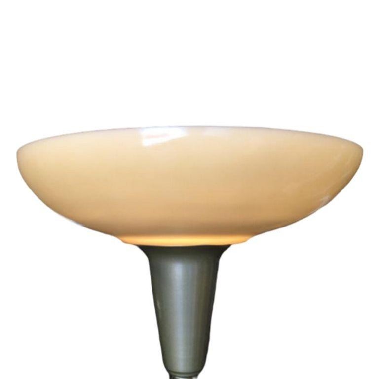 1950s Sculptural Organic Leaf Acrylic Floor Lamp by Rougier