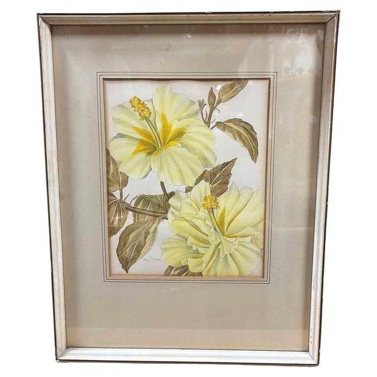 Mid-Century Hawaiian Framed Hibiscus Water Color Floral on Paper by Paul Tyler