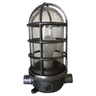 Industrial Iron Caged Marine Vapor Glass Light Fixture